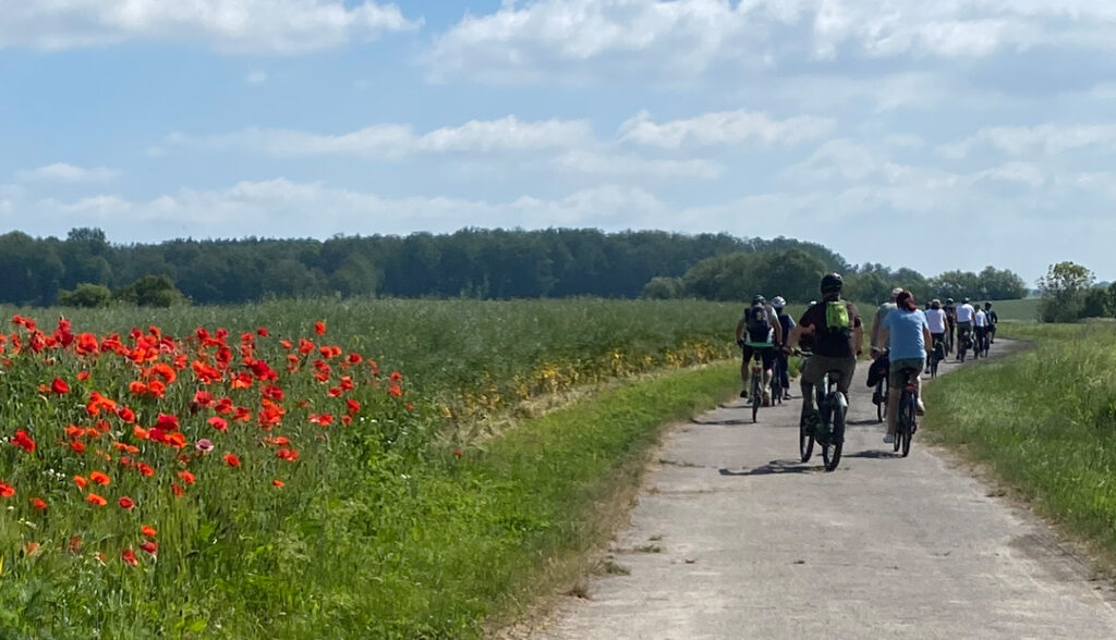 Die 9. Benndorf-und-Hildebrand-Radwandertag in Leipzig: Ein Ausflug durch Natur und Geschichte und anschließender Einkehr im Biergarten.